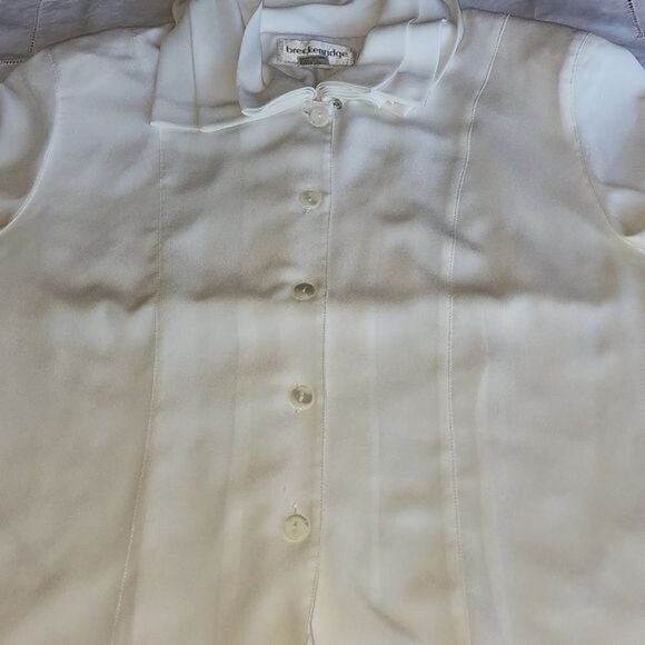 Breckenridge Ivory Sheer Button Down Long Sleeve Collared Sz 10 Dressy Blouse - Picture 7 of 9